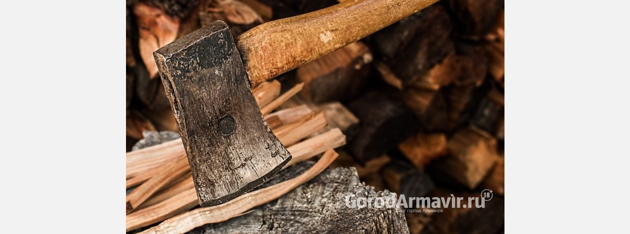 Троим «черным лесорубам» грозит 7 лет тюрьмы за вырубку редких деревьев в Успенском районе