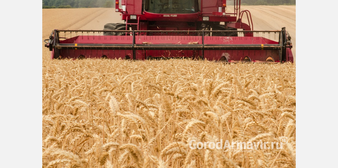 В хозяйствах Армавира собрали свыше 41 тыс тонн зерна