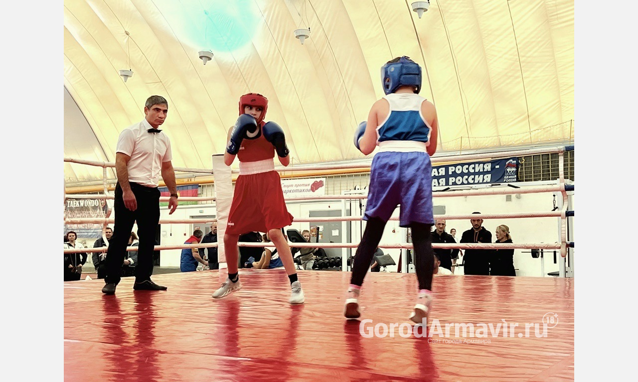 В Армавире провели первый Чемпионат по боксу среди девочек и девушек