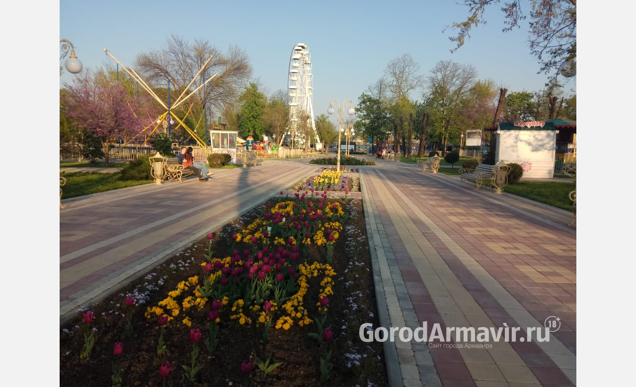 В армавирском городском парке бесплатно покажут кино 