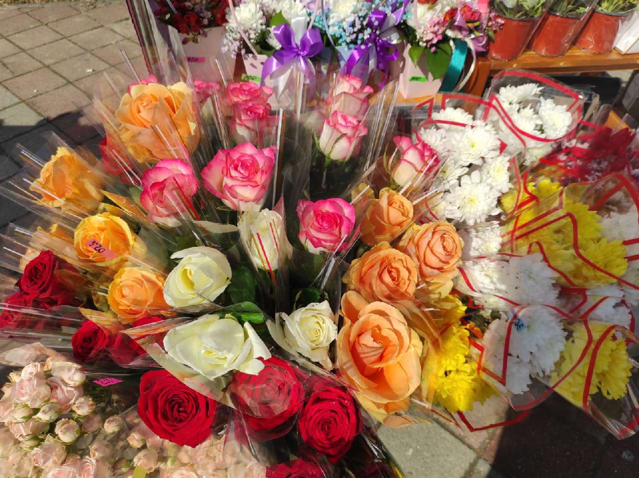 В Армавире с 6 по 8 марта на центральной площади будет работать цветочная ярмарка 