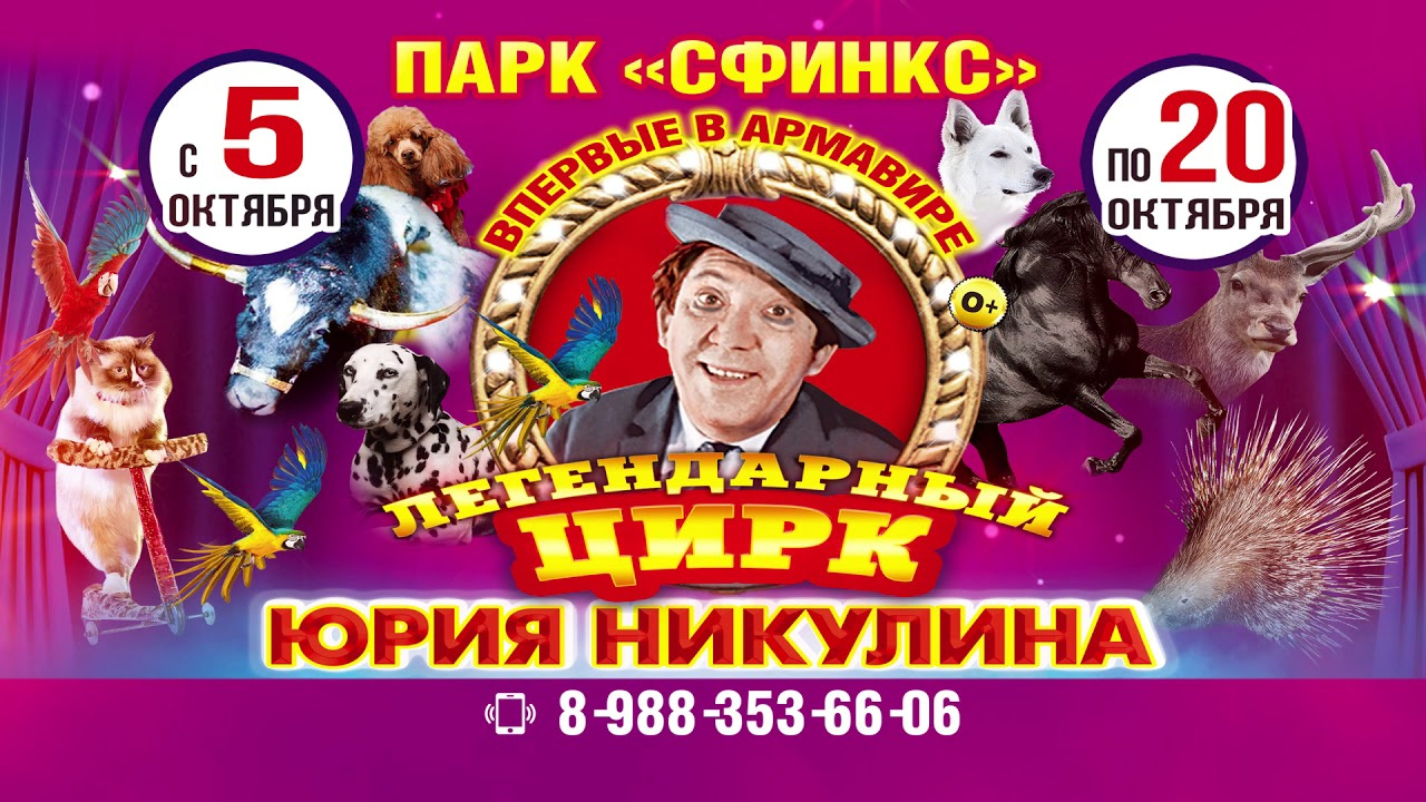 Легендарный цирк Юрия Никулина!
